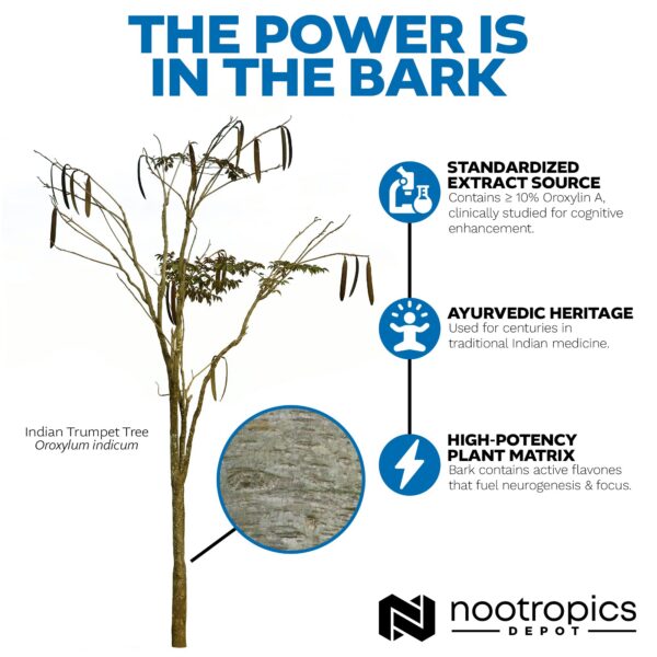 Sabroxy 100 mg lateral