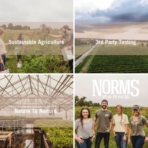 Caja de 45 días gomitas antioxidantes Norm's Farms Daily Refresh