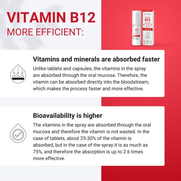 Version 1.0.0 Iconos de vegan y no-OGM en la etiqueta