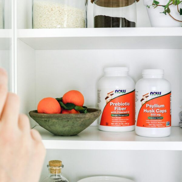 NOW Foods polvo para salud digestiva y saciedad