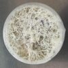 Nuevo lanzamiento de Root Mushroom Farm