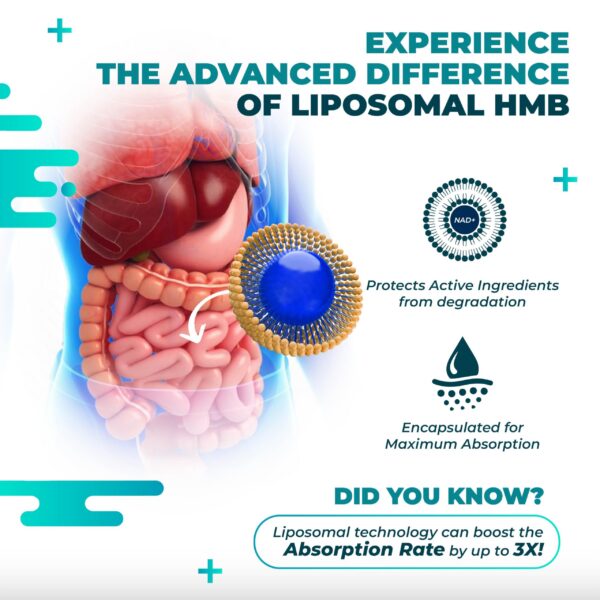 Version 1.0.0 Cierre de frasco y sellado