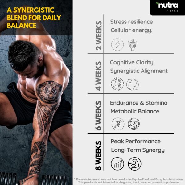 Version 1.0.0 Ingredientes naturales de suplemento NutraHerbs MEAN 10 en 1