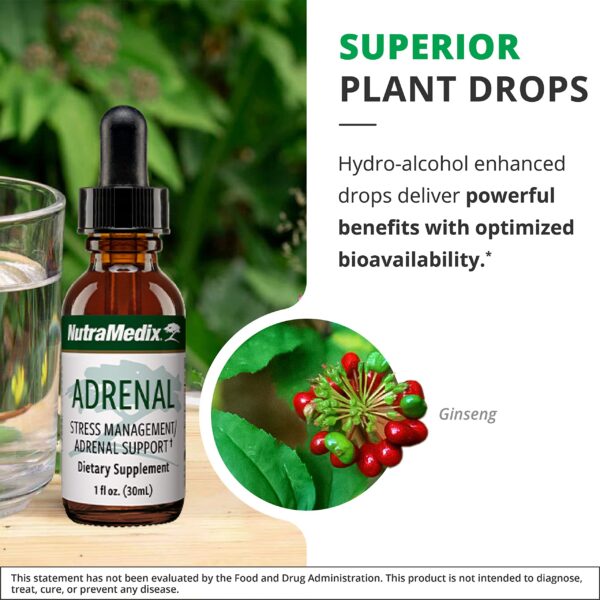 Version 1.0.0 Paquete completo NutraMedix soporte energía y rendimiento atlético