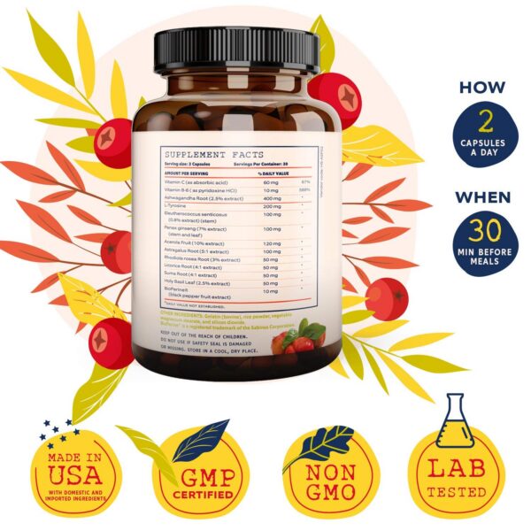 Version 1.0.0 Envase de suplemento NutraTemple en primer plano