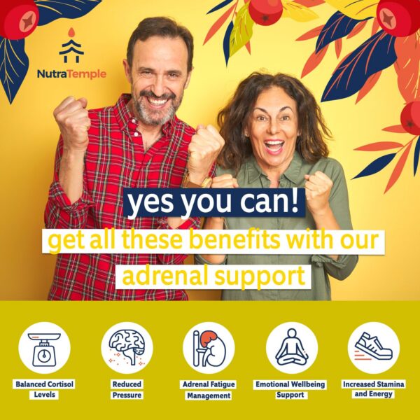 Version 1.0.0 Lista de ingredientes y código de barras