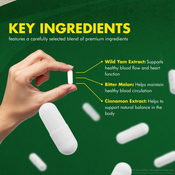 Version 1.0.0 Conjunto de botellas Glyco Edge