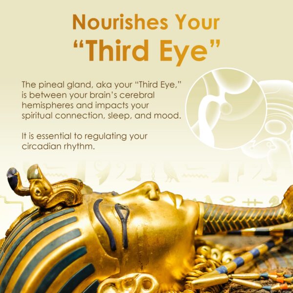 Version 1.0.0 Envase de oro Ormus 24K 2 oz