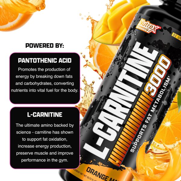 Version 1.0.0 Envase completo de Carnitina líquida Nutrex