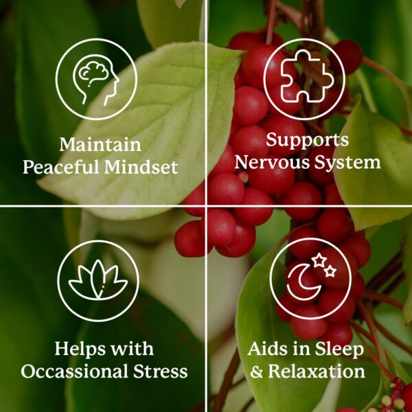 Nutri-Calm suplemento natural para estrés