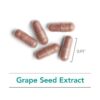 Nutricology antioxidante extracto semilla de uva proantocianidinas