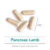 Frasco de Nutricology Pancreas de Cordero