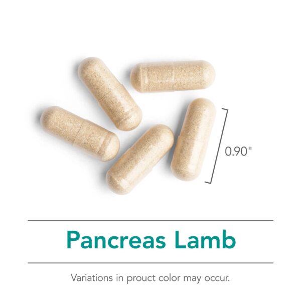 Frasco de Nutricology Pancreas de Cordero