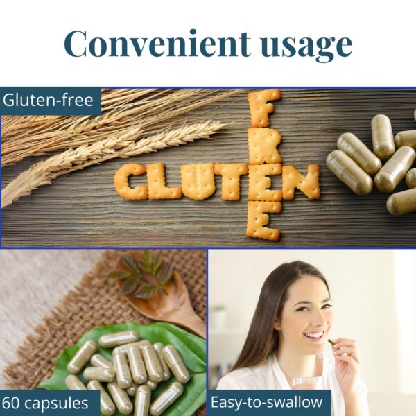 Frasco NutriWit con 60 cápsulas para salud cerebral completa