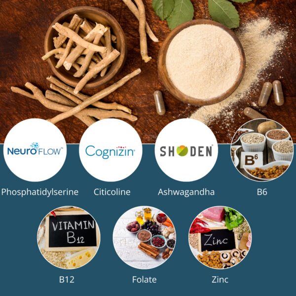 Suplemento NutriWit con ingredientes para rendimiento cognitivo