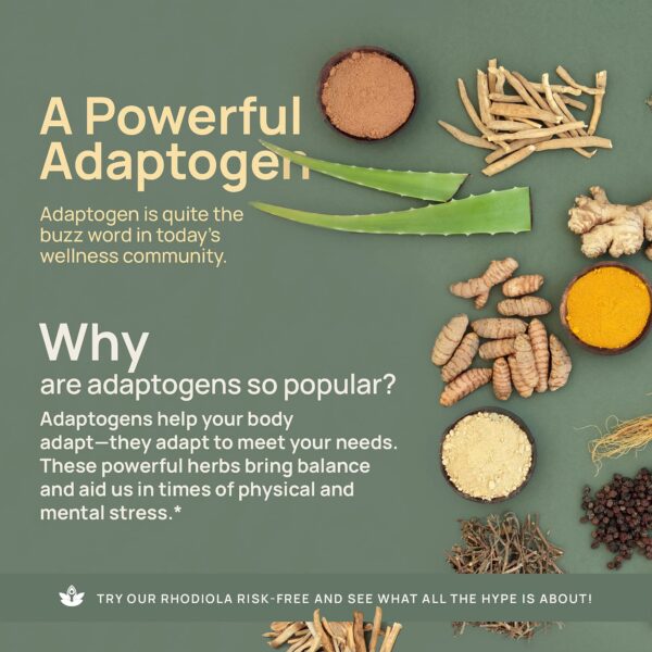 Version 1.0.0 Frasco con cápsulas Rhodiola Rosea