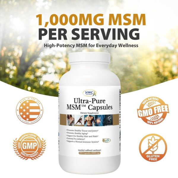 Version 1.0.0 MSM Ultra-Pura etiqueta detalles