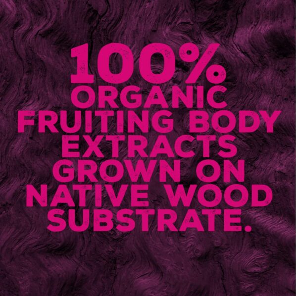 Sabor arándano-saúco OH MY FUNGI GUMMIES