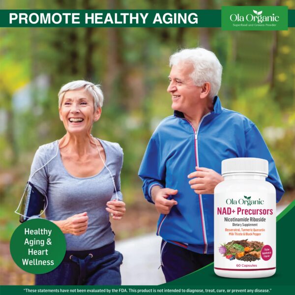 Version 1.0.0 Vista superior del empaque Ola Organic NAD+