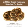 OM Mushroom polvo premium de hongo Turkey Tail apoyo inmunológico