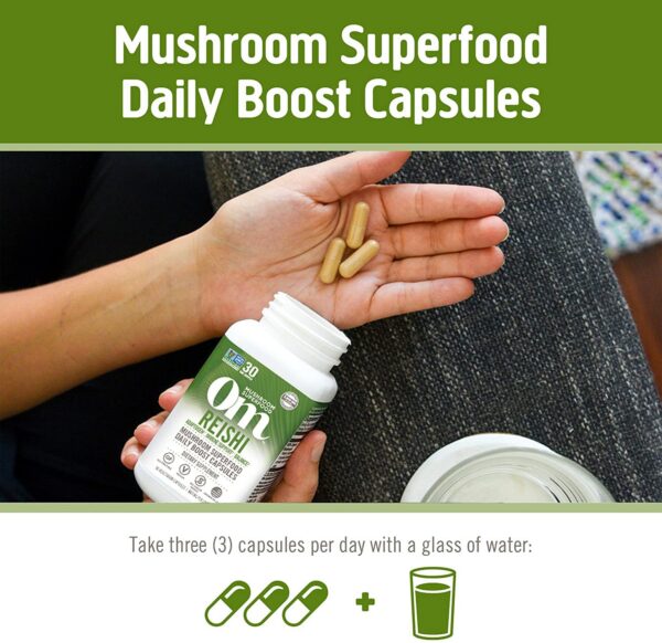 Version 1.0.0 OM Mushroom suplemento Reishi con fibra y prebióticos para salud intestinal