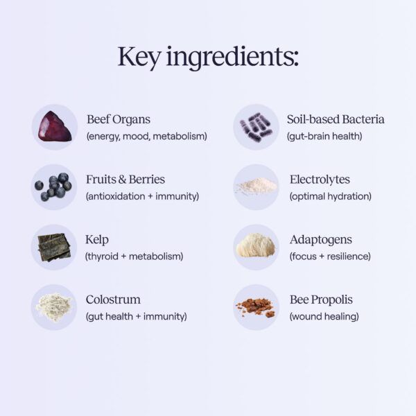 Multivitamínico OMNI1 con ingredientes orgánicos y probióticos