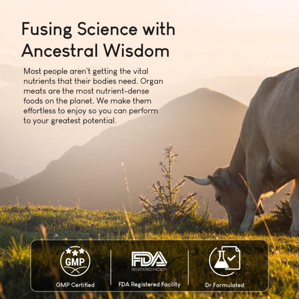 Proceso de fabricación y pruebas independientes