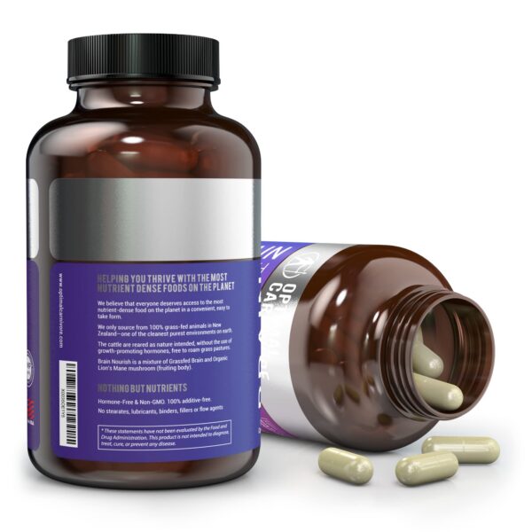 Optimal-Carnivore-salud-cerebral-concentracion