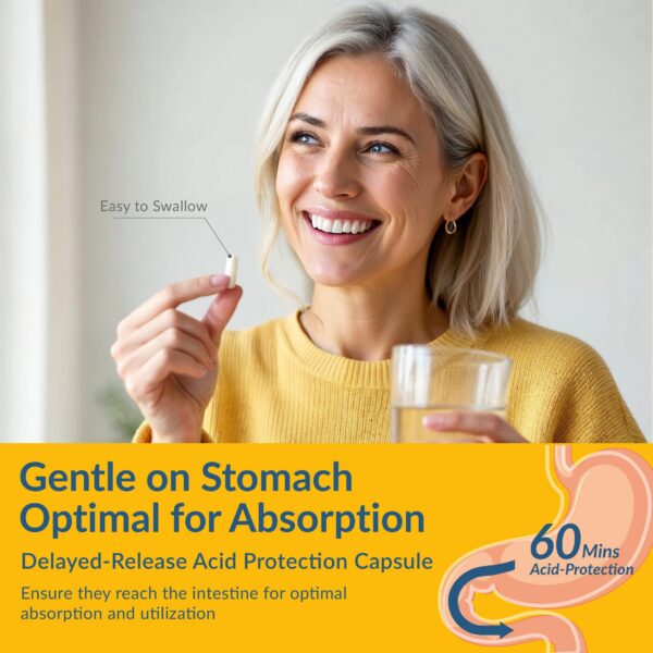 Detalle de ingredientes OPTINOURISH alpha GPC b6 zinc