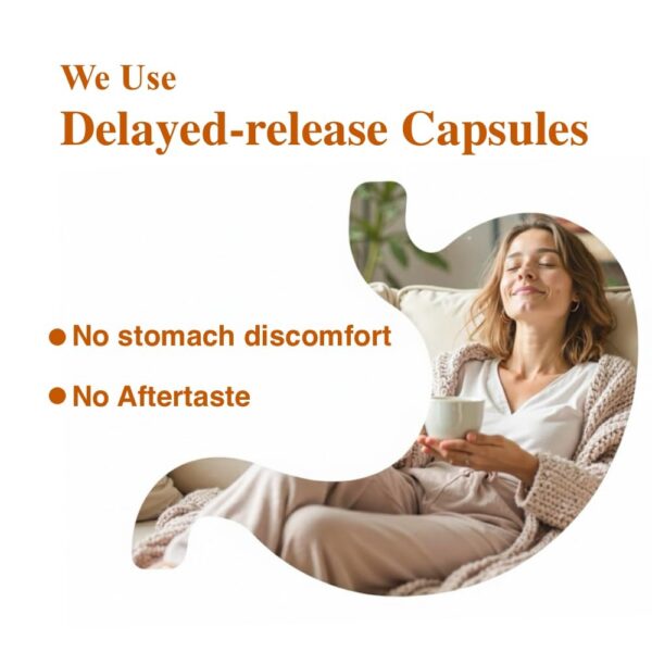 Version 1.0.0 Detalles del empaque y código