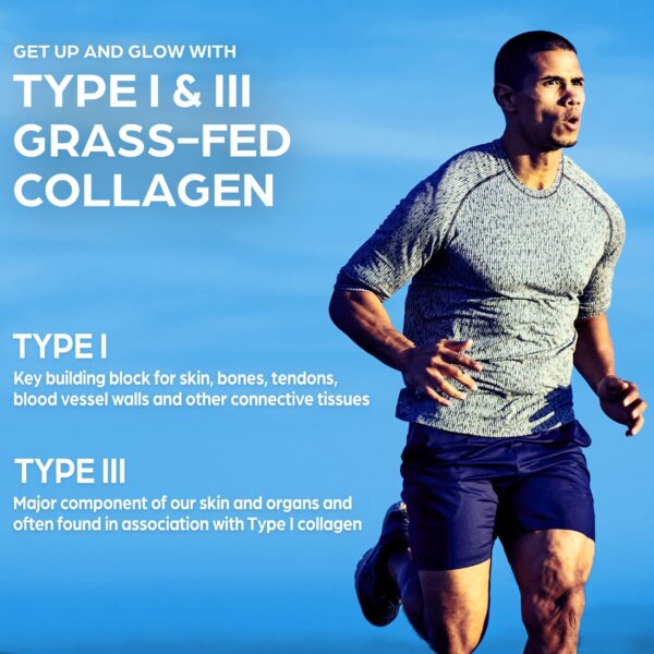 Envase Orgain 1.6 lb