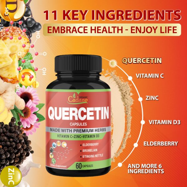 Version 1.0.0 Cápsulas para energía, masa muscular y función cognitiva