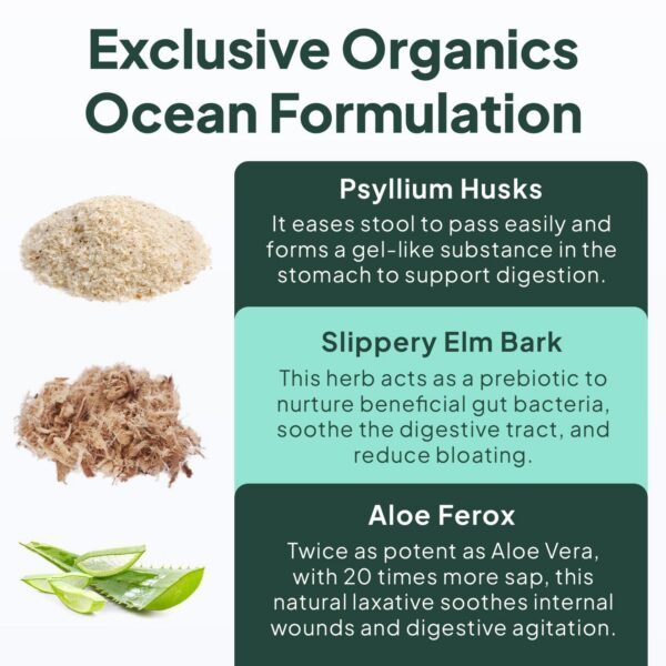 Version 1.0.0 Botellas del suplemento Organics Ocean Mejor Fibra