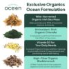Musgo marino salvaje orgánico para salud integral Organics Ocean