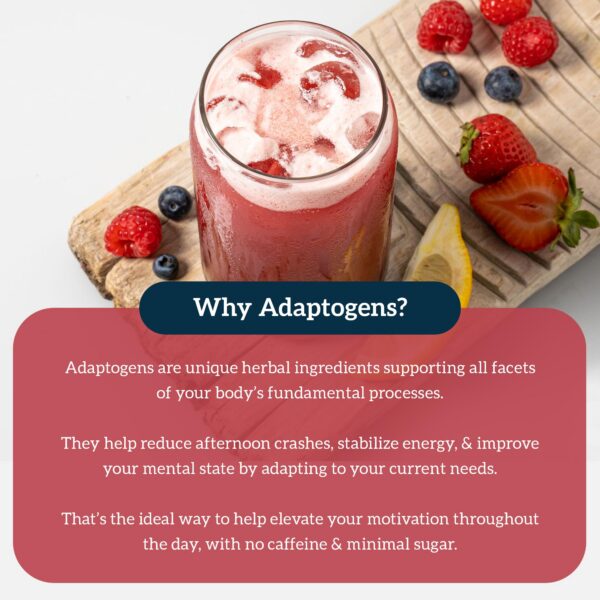 Version 1.0.0 Organifi Red Juice mezcla en vaso para energía diaria