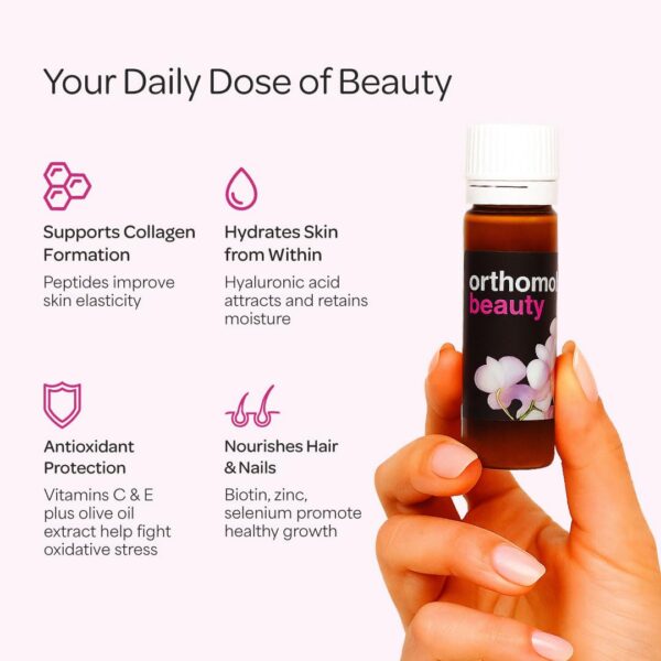 Version 1.0.0 Contenido y etiqueta superior