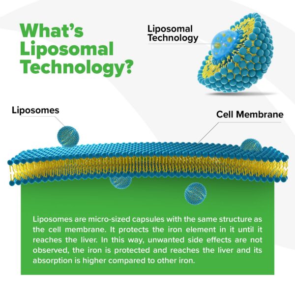 Frasco y cápsulas - vista lateral