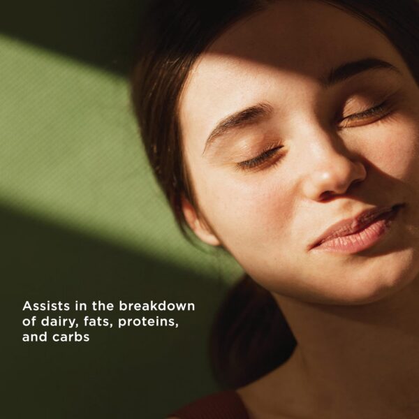 Ingredientes de Osmosis Enzimas Digestivas