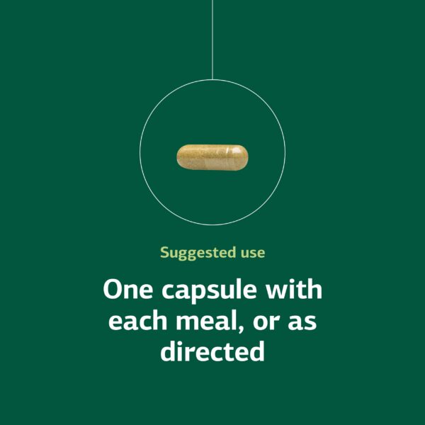 Frente de caja roja de Ostarplex