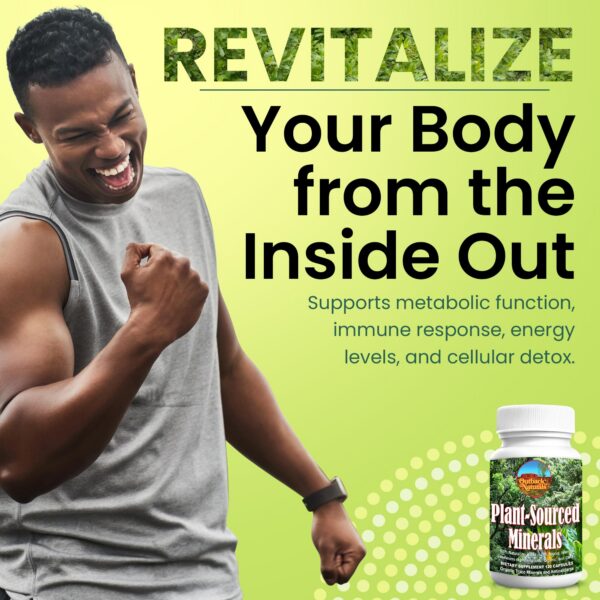 Version 1.0.0 Outback Naturals Fulvic Humic junto a otros suplementos