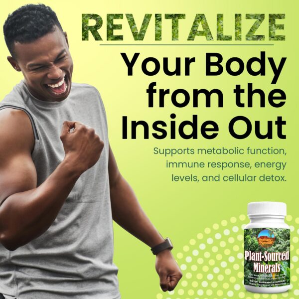 Etiqueta trasera Outback Naturals minerales