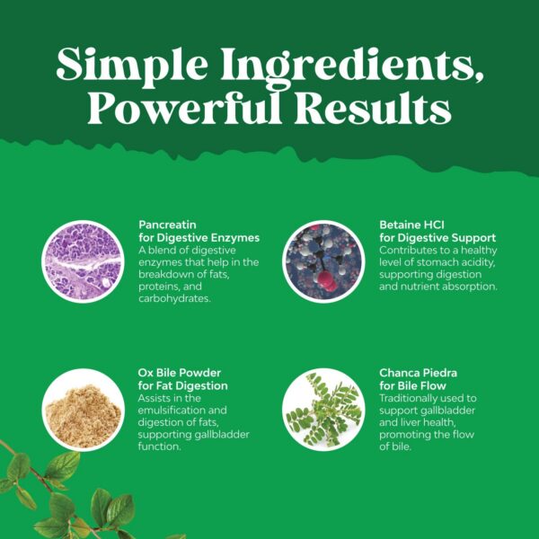 Ox Bile Salts envase completo