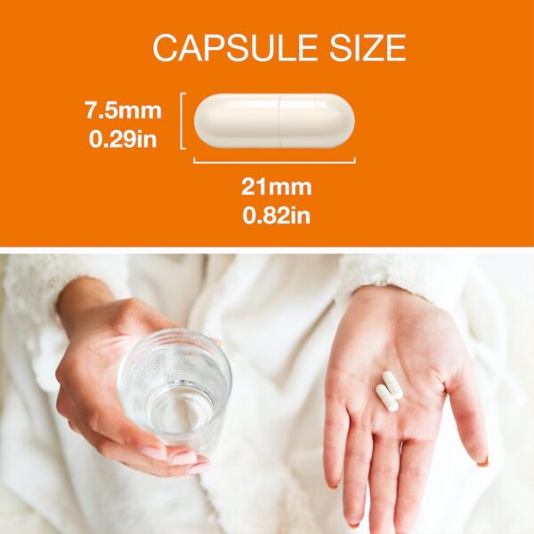 Version 1.0.0 Empaque y caja de P Puregen Labs