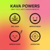 Pack kava variedad sabores bebidas botánicas MITRA9