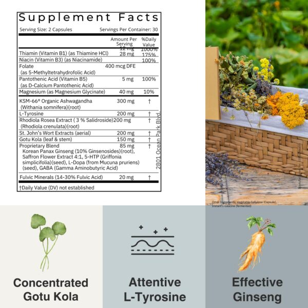 packaging-detallado-suplemento-mood-boost-dr-scott