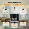 Version 1.0.0 Shilajit PakShilajit minerales detalle