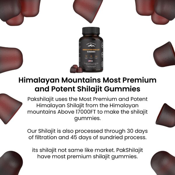 Envase de 60 gomitas PakShilajit Himalaya