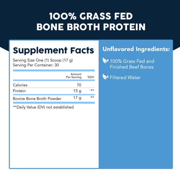 Version 1.0.0 Logotipo Paleovalley
