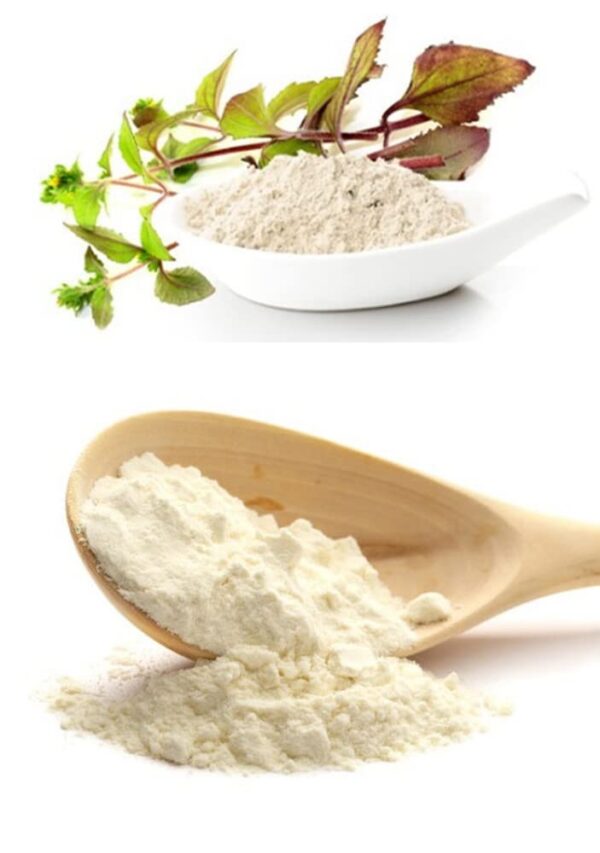 Envase PALPLUS con polvo extracto