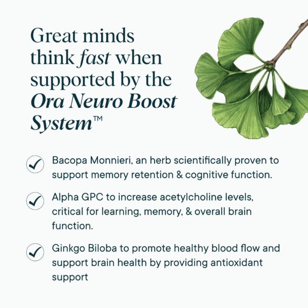 Panax Ginseng Rojo y Bacopa soporte cognitivo